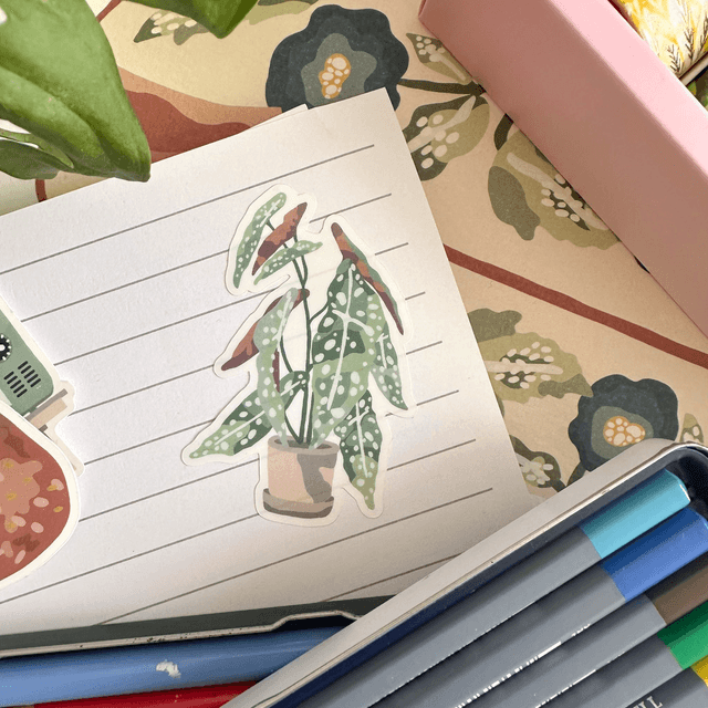 Stickers : La plante 🪴