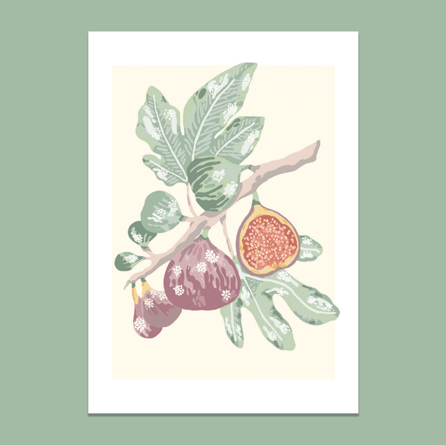 Les figues ☀️