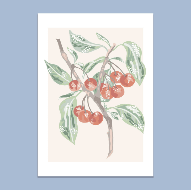 Les cerises 🍒 